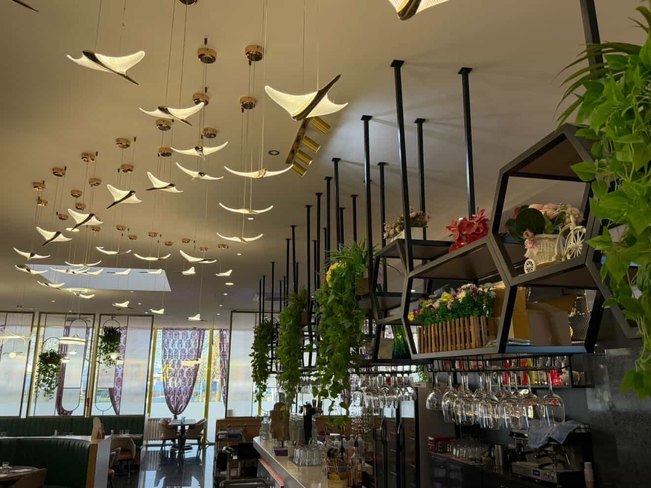 Royal Garden - galerie 6