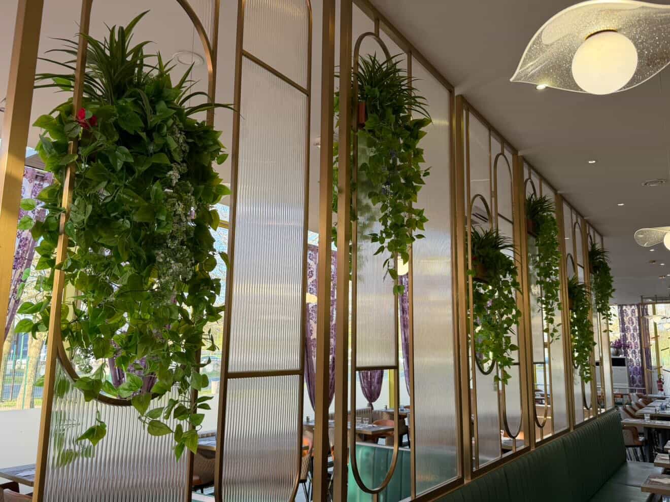 Royal Garden - galerie 5